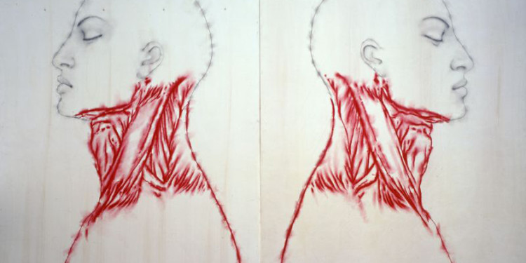 Nuove anatomie, 2002 - matita e pigmento su tavola cm 251x370 dittico_1