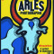 Arles affiche_2011, Michel Bouvet